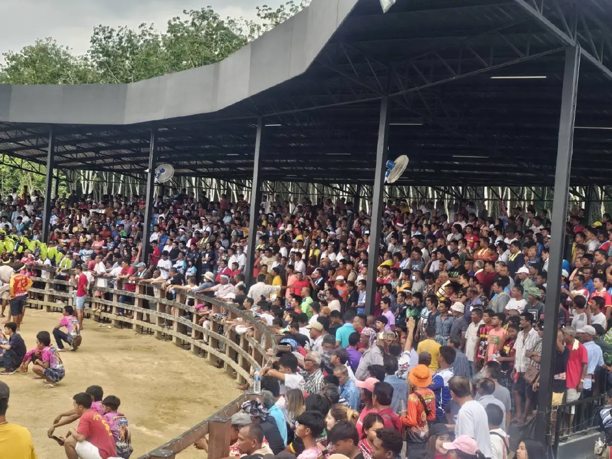 'สามารถ' ควงสมาชิกพปชร.ลุยพัทลุง แจกข้าวสาร 10 ตัน เนื่องในวโรกาสเฉลิมพระชนมพรรษา