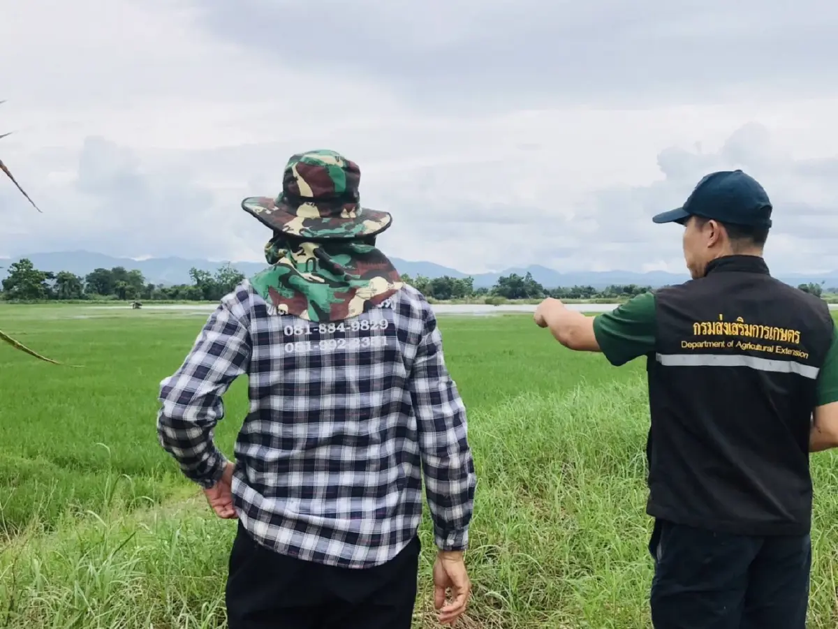 กรมส่งเสริมการเกษตร ลงพื้นที่ ร่วมเกษตรกรวางแผนรับน้ำหลาก ส.ค.- ต.ค.  นี้