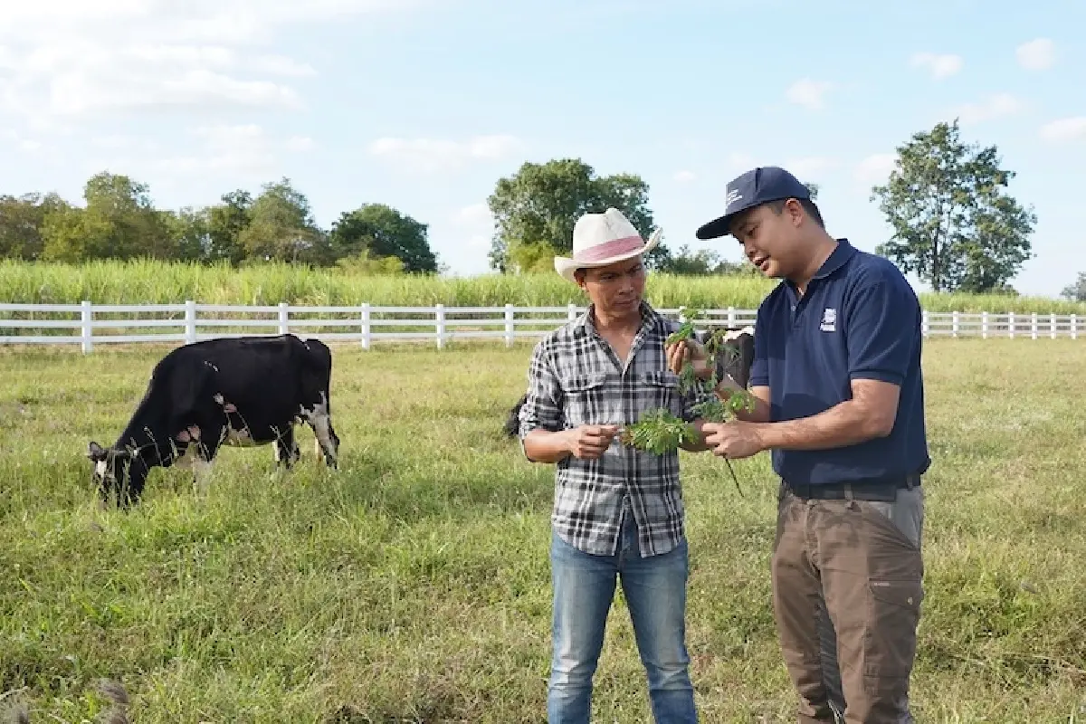 โค้งท้ายธุรกิจยังเป็นไปตามแผน   ‘เนสท์เล่’ ลุยเกษตรเชิงฟื้นฟู มุ่งยั่งยืน
