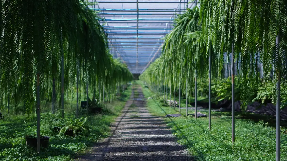 กรมส่งเสริมการเกษตร ต่อยอดเขื่อนป่าสักฯ ท่องเที่ยวพื้นที่เกษตร