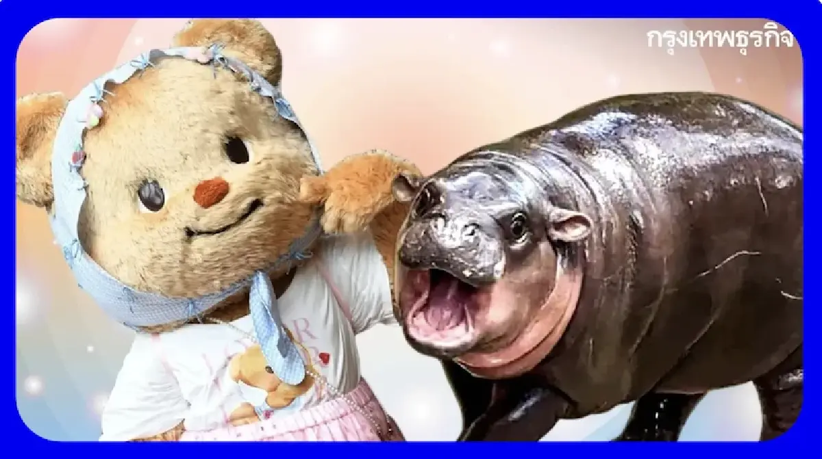 10 กระแสฮิตบนโซเชียลแห่งปี 2567  ‘หมูเด้ง’ ซุป’ตาร์ดังนำมาที่ 1 ครองใจคนไทย