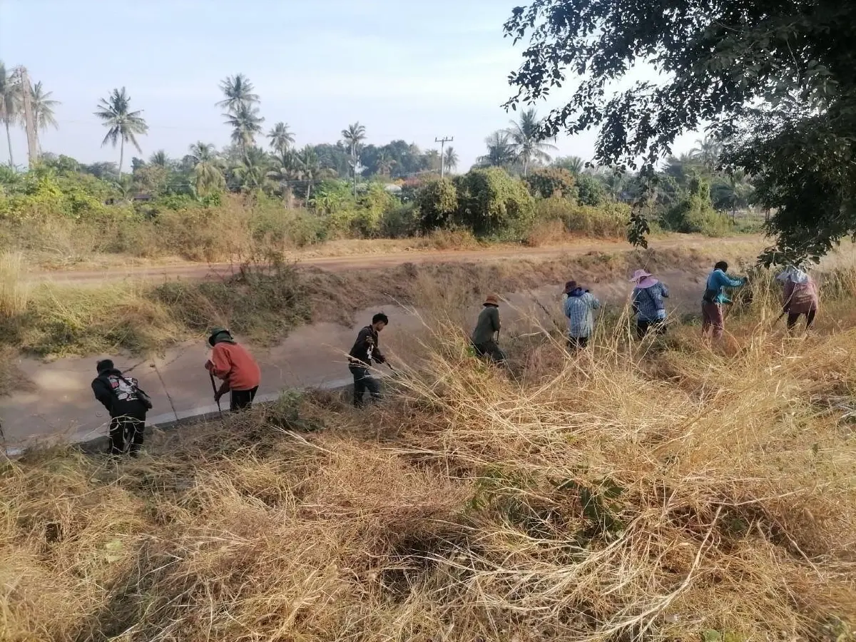 กรมชลประทาน เดินหน้ากำจัดวัชพืช เพิ่มประสิทธิภาพการส่งน้ำฤดูแล้ง