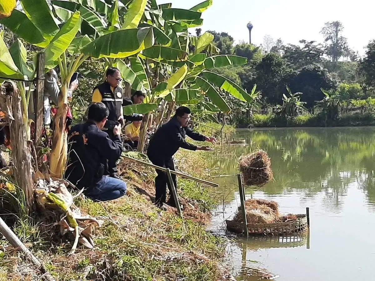 ตัดสิทธิ์ เกษตรกร เผาตอซัง ฟางข้าว ไม่ให้ร่วมทุกโครงการของกรมประมง