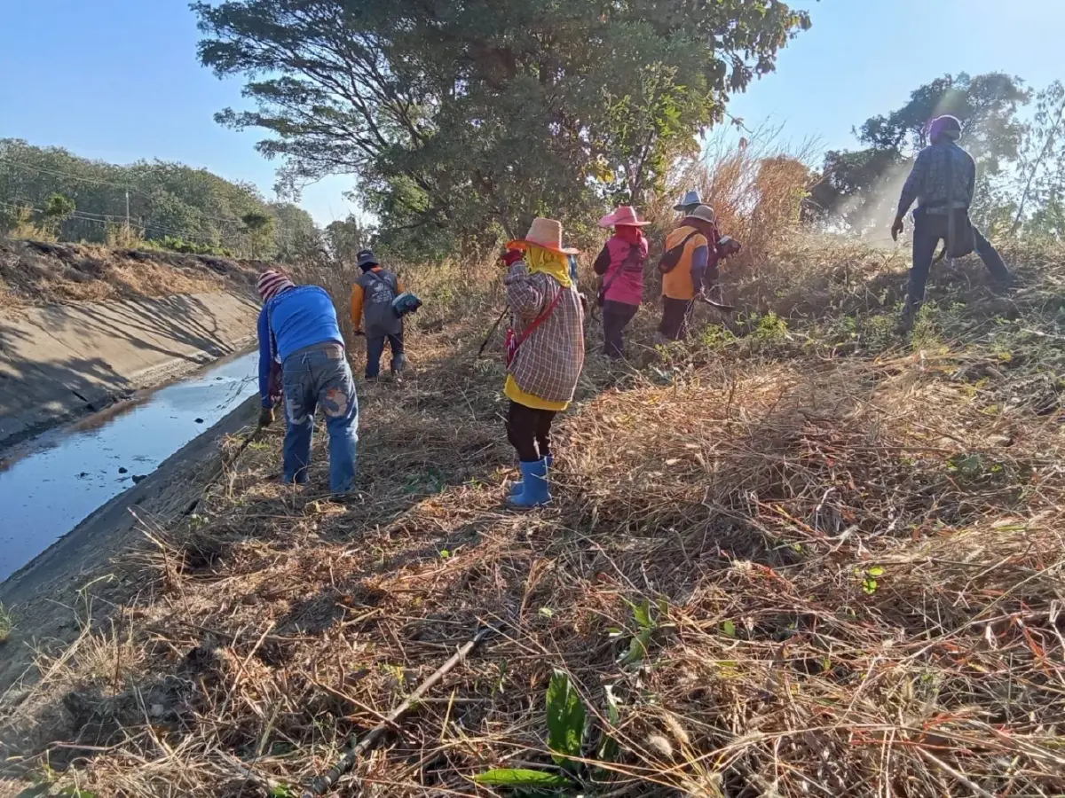 กรมชลประทาน เดินหน้ากำจัดวัชพืช เพิ่มประสิทธิภาพการส่งน้ำฤดูแล้ง