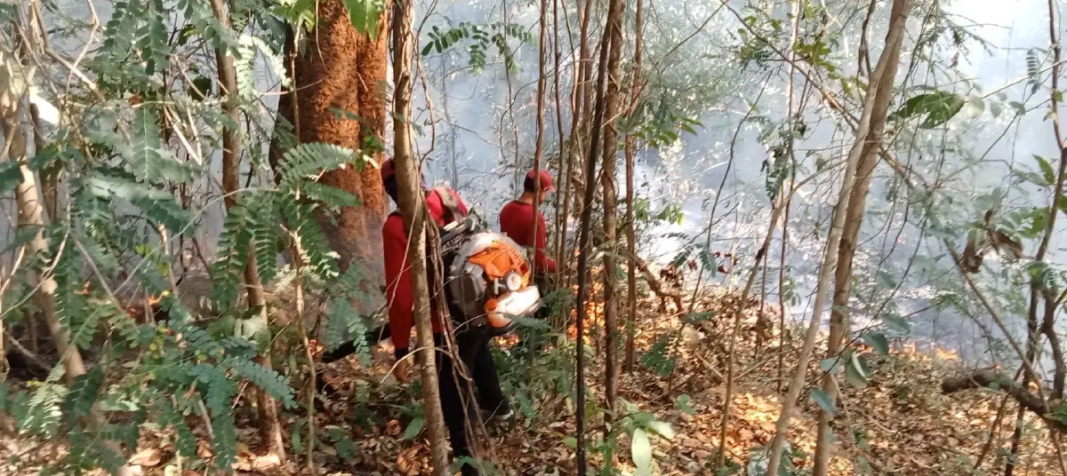 คุมได้แล้ว "ไฟป่าเขาใหญ่" สนธิกำลัง - ส่ง ฮ.​ ช่วยสกัดไฟ พบเสียหายประมาณ 60 ไร่