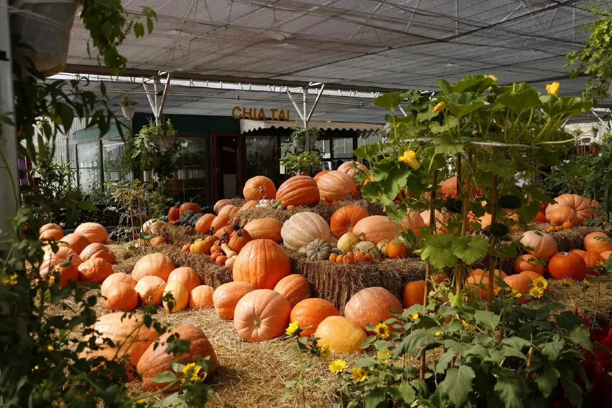 งานเจียไต๋ แฟร์ 2025  โชว์เกษตรอัจฉริยะ ตอกย้ำผู้นำนวัตกรรมการเกษตร