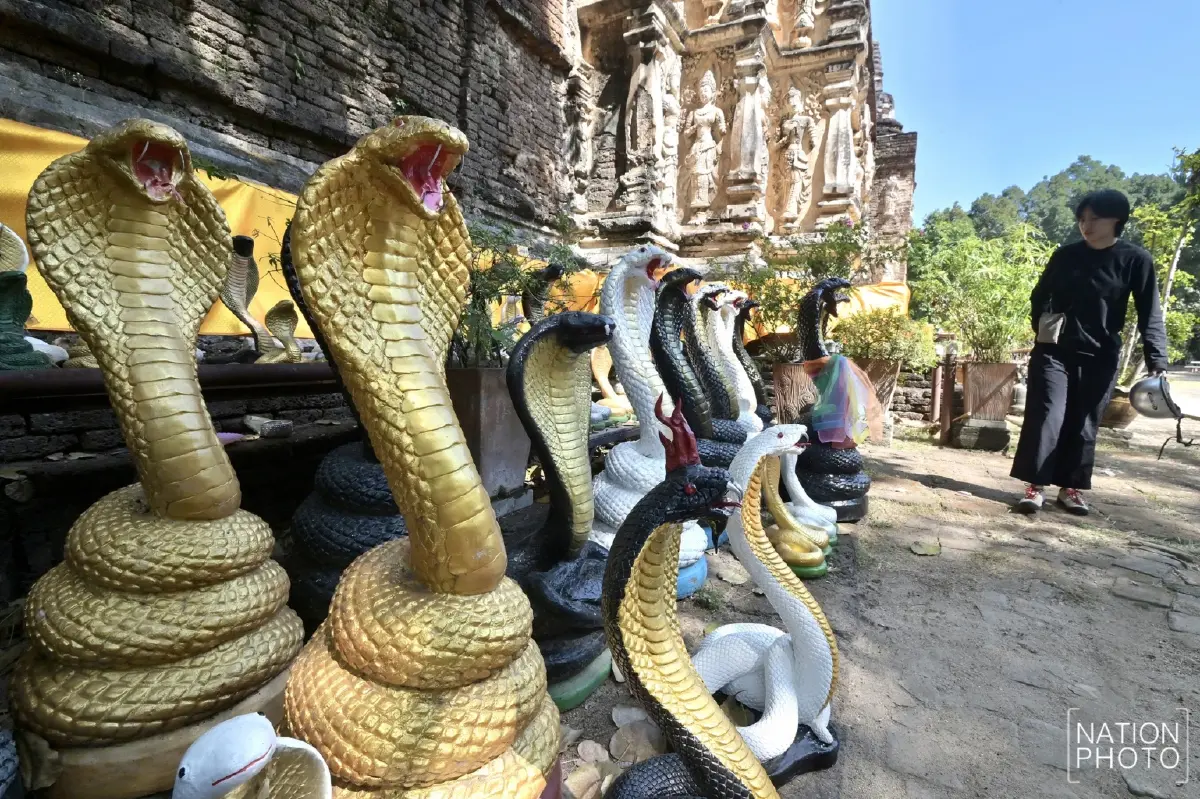 ดูชัด เป็นวันดี ฤกษ์ดี เที่ยวเชียงใหม่ วัดประจำปีเกิด ปีมะเส็ง วัดเจ็ดยอด