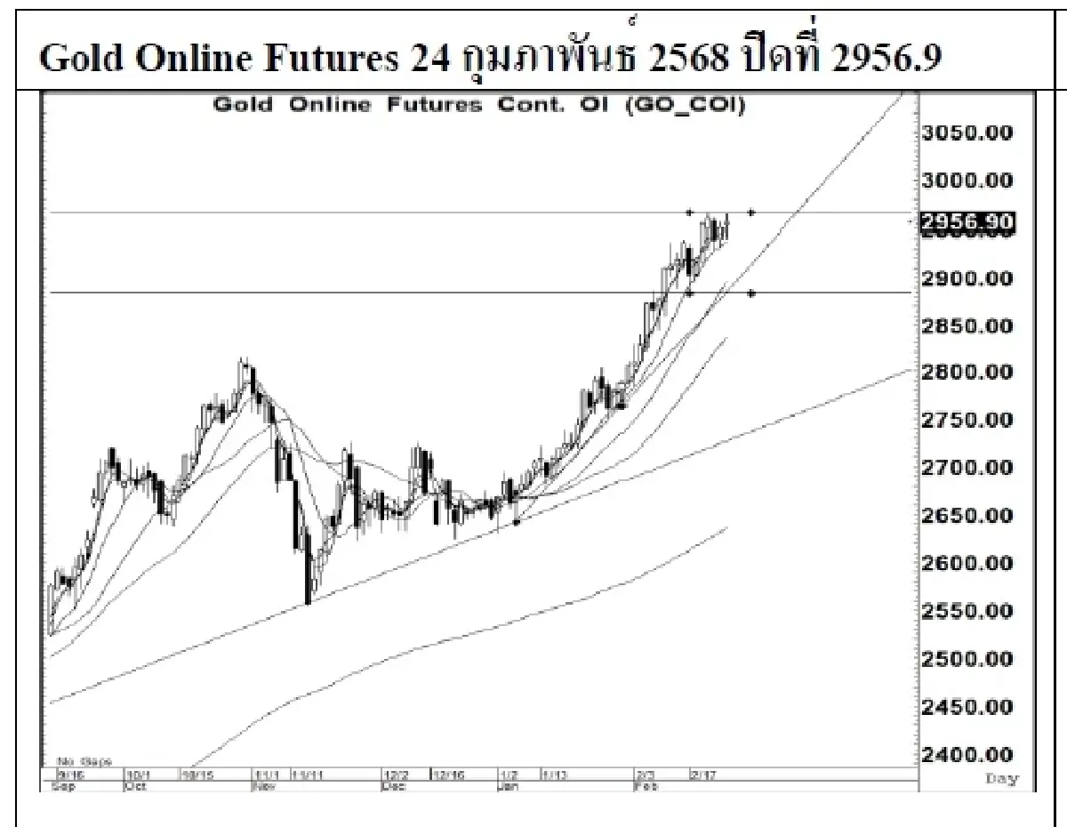 Daily Gold Futures : บล.เคจีไอฯ  Spot Gold (Dollar/Troy Ounce) +7.24  2950.62