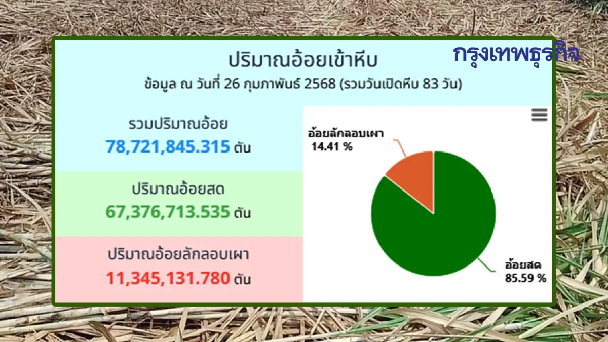 เงินช่วยเหลือชาวไร่อ้อย คนไม่เผาอ้อย ได้เงินชดเชย รัฐจ่ายล่าสุด