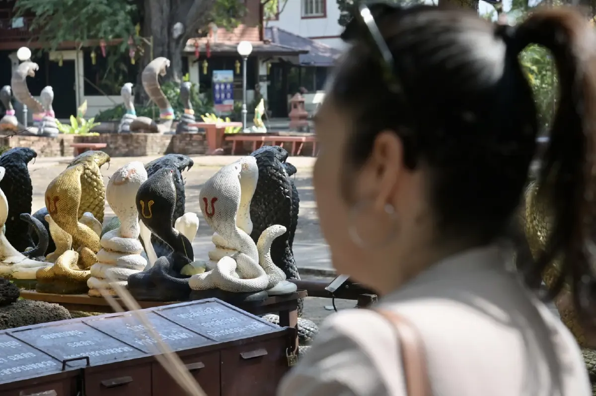 ดูชัด เป็นวันดี ฤกษ์ดี เที่ยวเชียงใหม่ วัดประจำปีเกิด ปีมะเส็ง วัดเจ็ดยอด