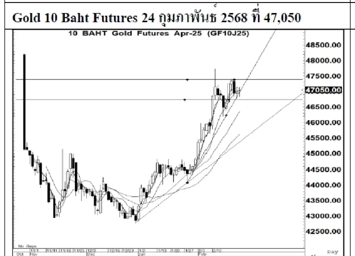 Daily Gold Futures : บล.เคจีไอฯ  Spot Gold (Dollar/Troy Ounce) +7.24  2950.62