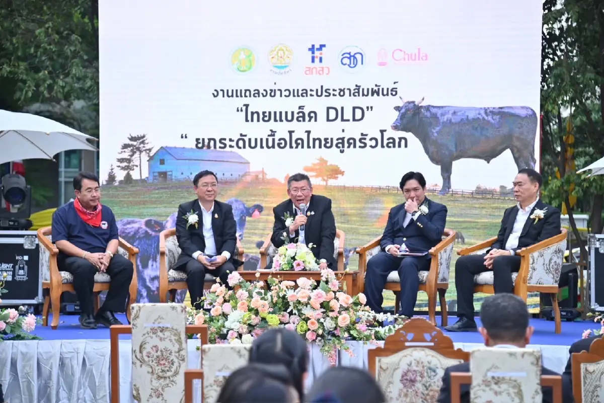 รู้จัก 'ไทยแบล็ค DLD' โคเนื้อไขมันแทรก ยกระดับเนื้อโคไทยสู่ครัวโลก