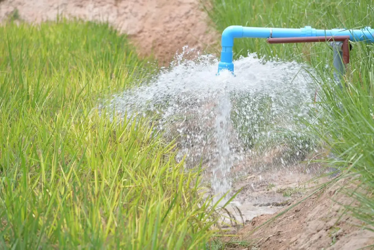 'นฤมล' ประกาศทำนาเปียกสลับแห้ง   ลุ่มเจ้าพระยา ลดใช้น้ำ ลดก๊าซมีเทน
