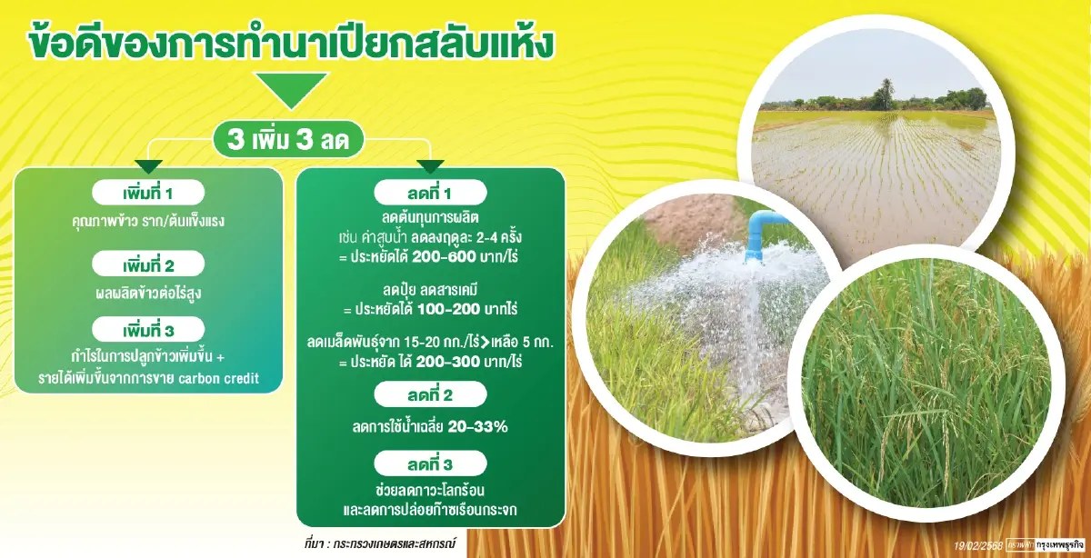 'นฤมล' ประกาศทำนาเปียกสลับแห้ง   ลุ่มเจ้าพระยา ลดใช้น้ำ ลดก๊าซมีเทน