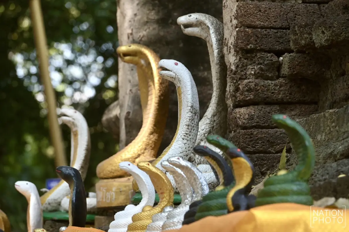 ดูชัด เป็นวันดี ฤกษ์ดี เที่ยวเชียงใหม่ วัดประจำปีเกิด ปีมะเส็ง วัดเจ็ดยอด