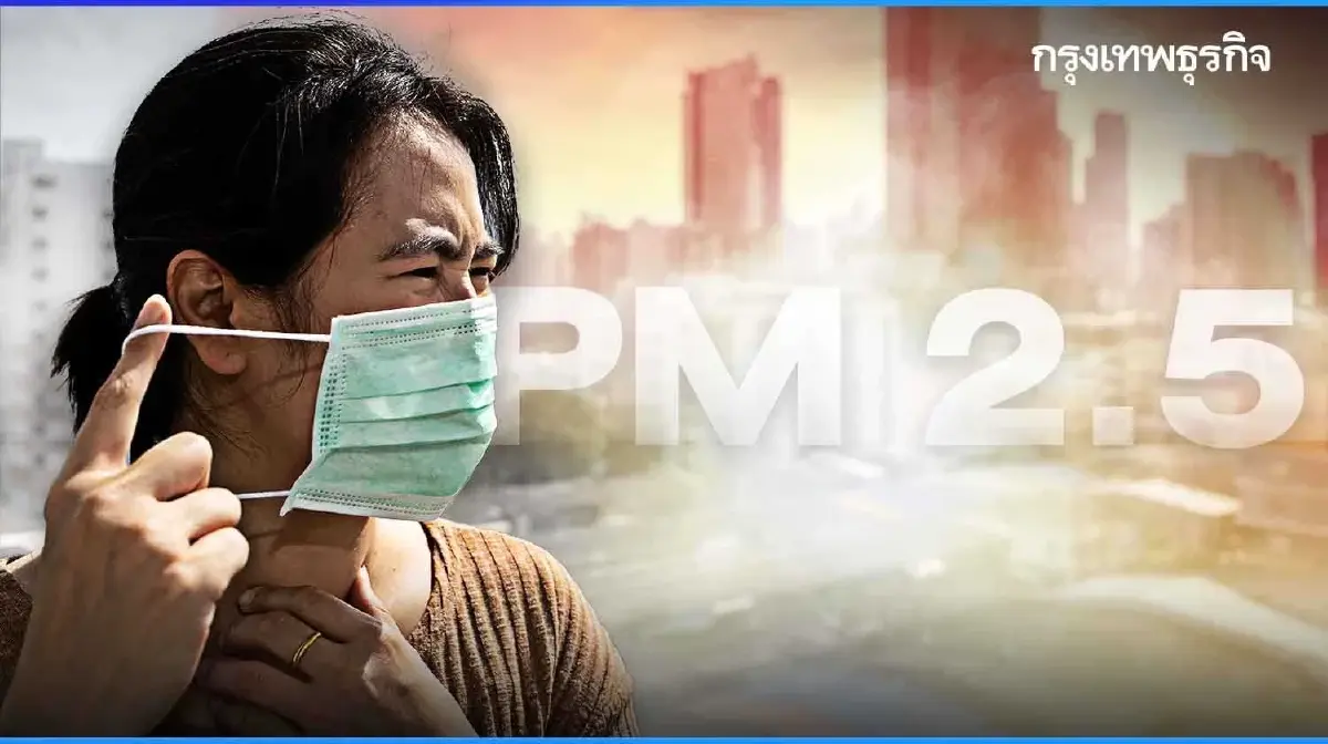 เงินช่วยเหลือชาวไร่อ้อย คนไม่เผาอ้อย ได้เงินชดเชย รัฐจ่ายล่าสุด