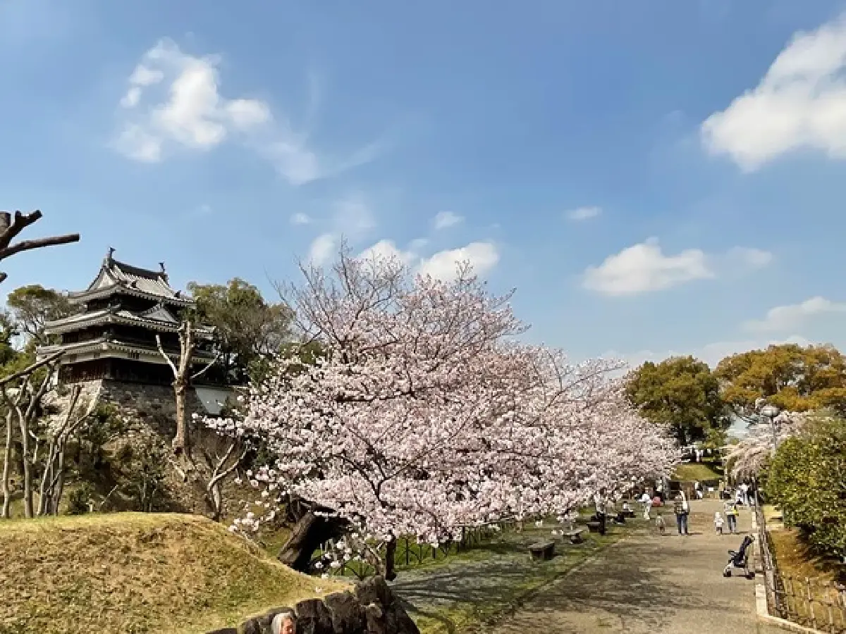 อาหารญี่ปุ่น วัตถุดิบจาก ‘จังหวัดไอจิ’ ที่ ห้องอาหารสึ