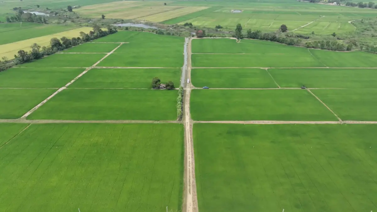 กรมชลประทาน มั่นใจ ฤดูแล้ง ปีนี้ มีปริมาณน้ำอุปโภคบริโภคเพียงพอ