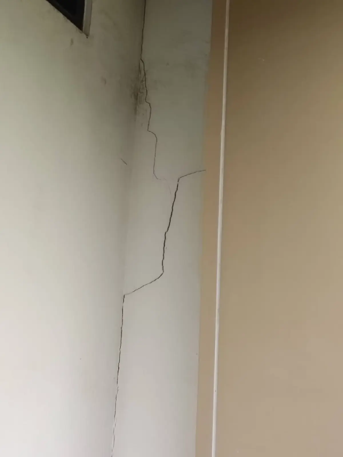 นฤมล สั่ง สำรวจผลกระทบแผ่นดินไหว  ยืนยันโครงสร้างทุกตึกยังมั่นคง