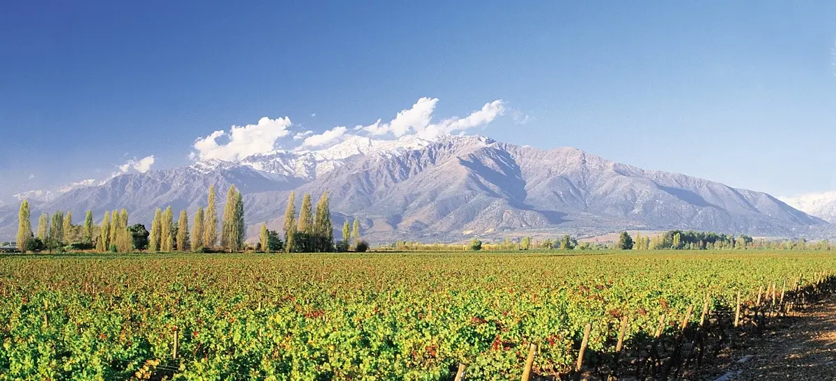 ไวน์กรองด์ ครู ชิลี รุ่น ‘ดอน เมลชอร์’ วินเทจ 2021 มีไม่พอขาย