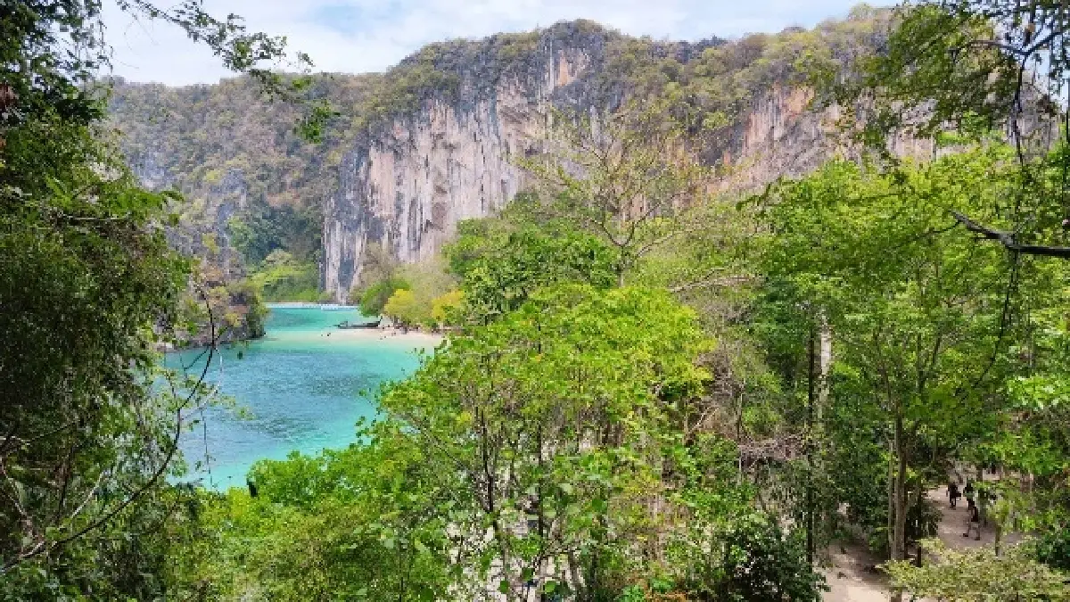 ‘เที่ยวทะเล’ ชม ความงามของสวรรค์กลางทะเล บนหอชมวิว ‘เกาะห้อง’
