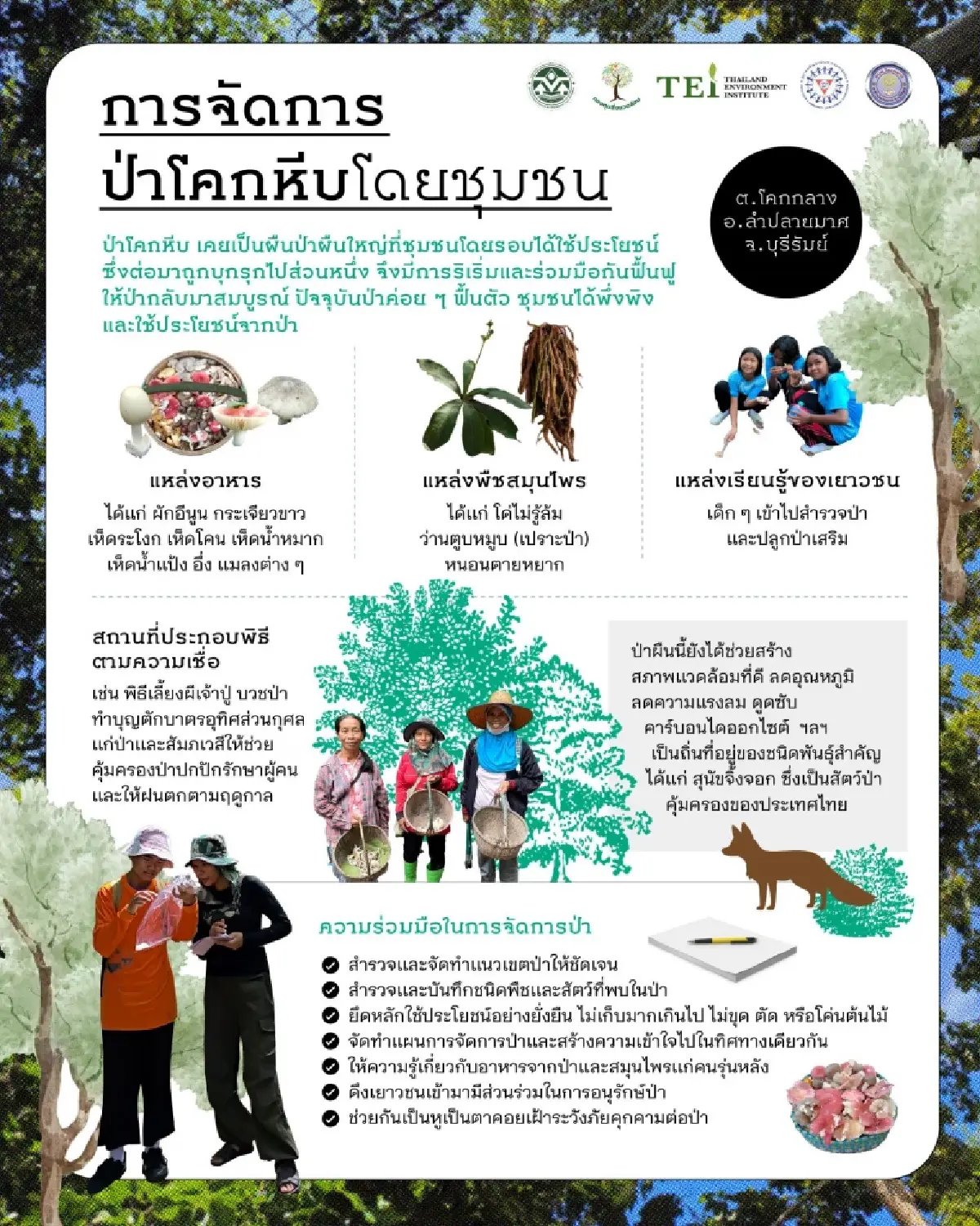 วันป่าไม้โลก 21 มี.ค.ไทยสูญเสียพื้นที่ป่าช้าลง แต่ยังน่าห่วง