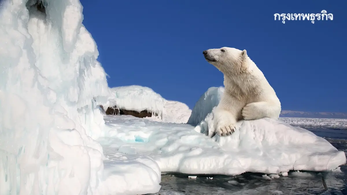 ทำงานเวลาไหนดีที่สุด? 4 Chronotype นาฬิกาชีวิตส่งผลประสิทธิภาพงาน