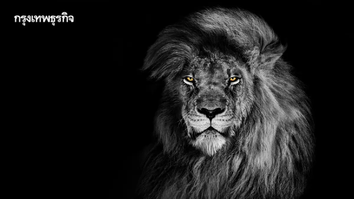 ทำงานเวลาไหนดีที่สุด? 4 Chronotype นาฬิกาชีวิตส่งผลประสิทธิภาพงาน