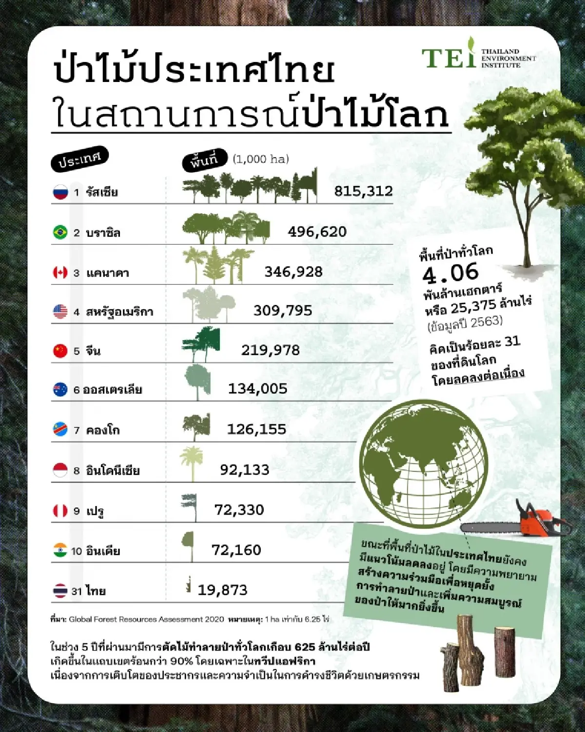วันป่าไม้โลก 21 มี.ค.ไทยสูญเสียพื้นที่ป่าช้าลง แต่ยังน่าห่วง