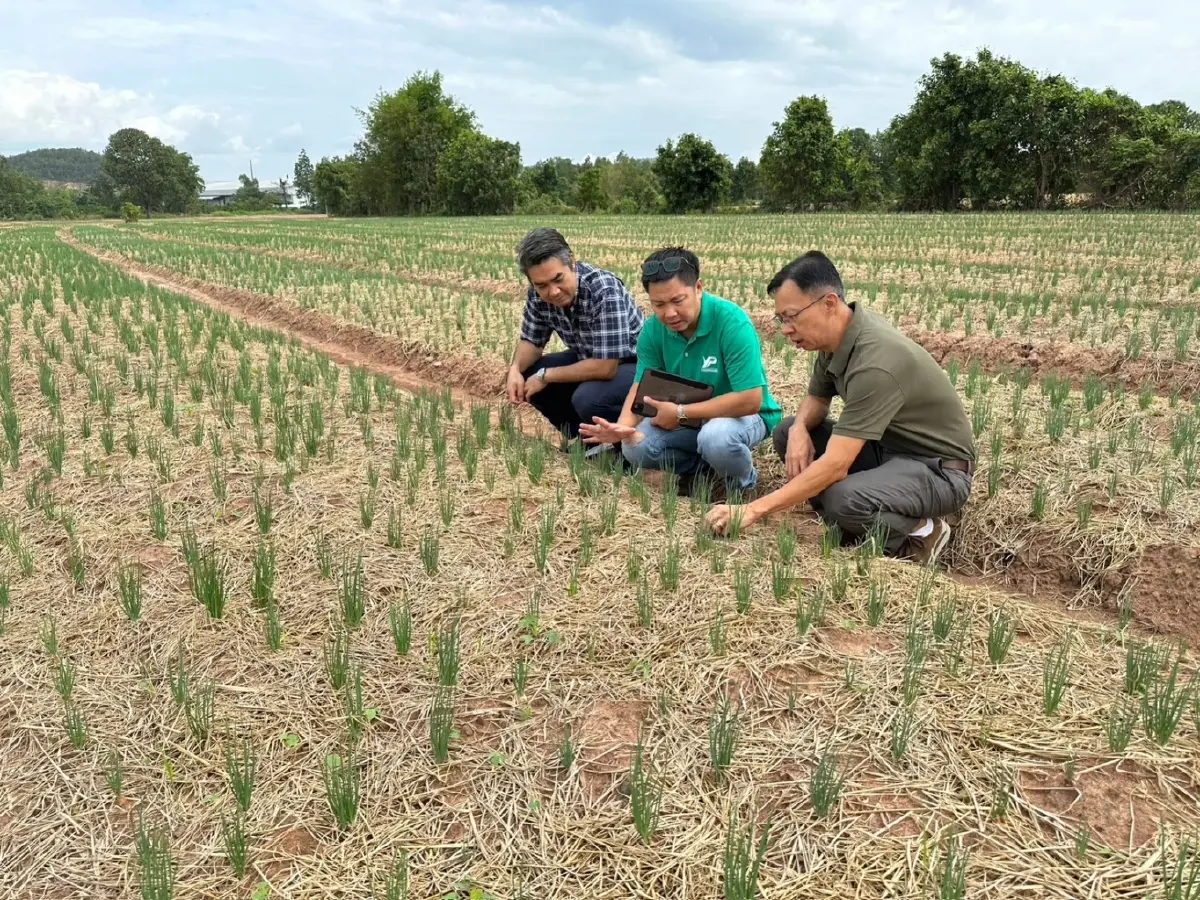 ซีพีเอฟ ร่วม 3 หน่วยงาน ยกระดับ SME คู่ค้า สู่ความยั่งยืน