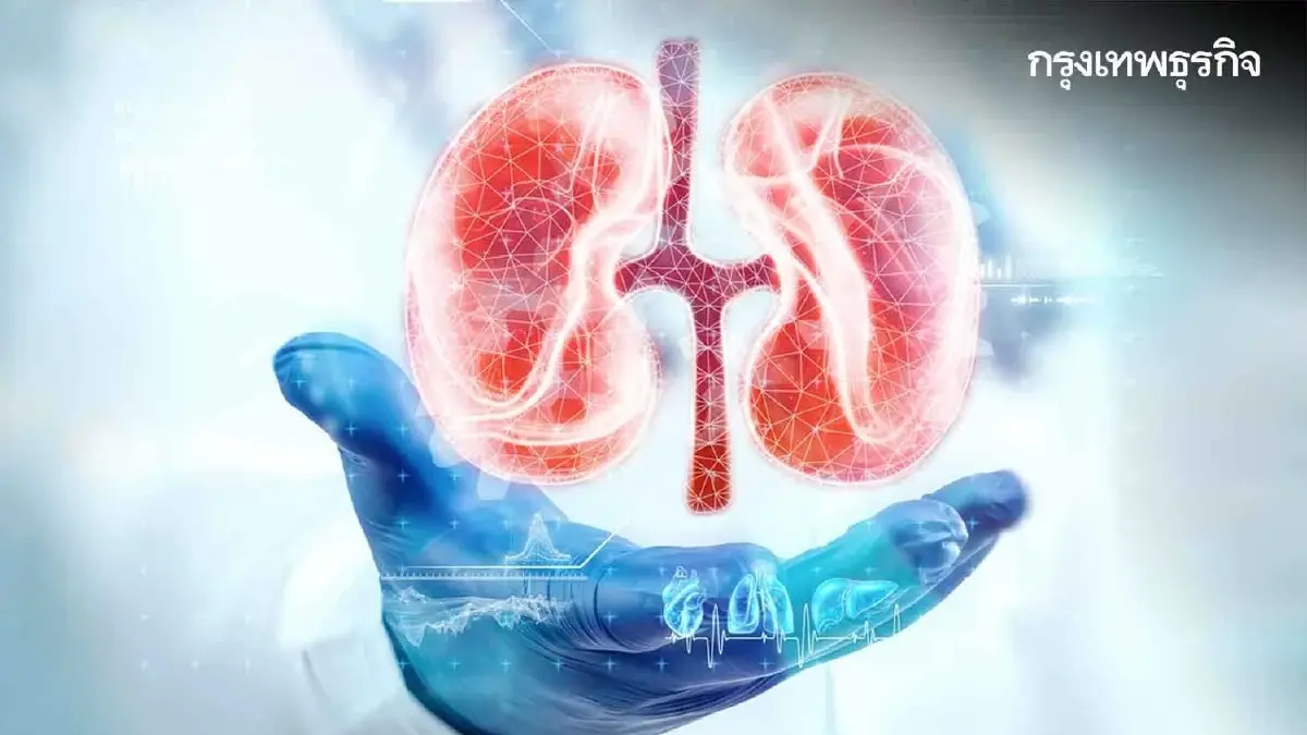 กรมอนามัย แนะ 8 วิธี ดูแลป้องกันโรคไต เริ่มทำวันนี้ ไตไม่เสื่อม