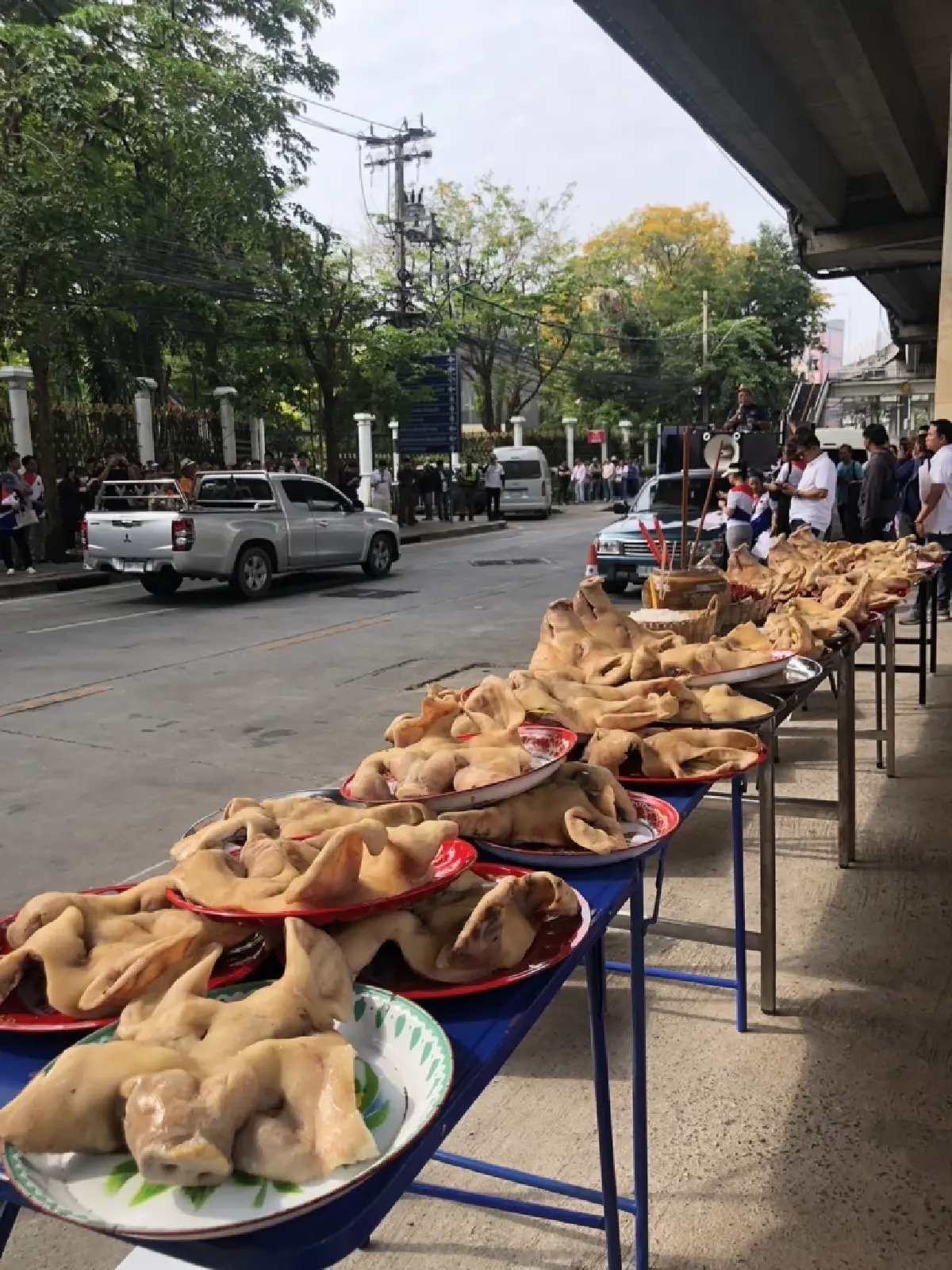 สมาคมผู้เลี้ยงหมู ร้อง “คลัง” ค้านนำเข้าเครื่องในจากสหรัฐ