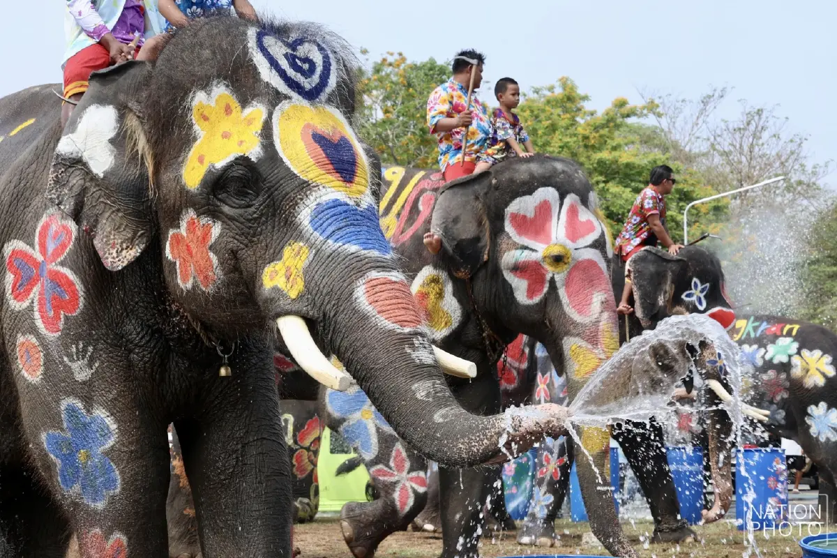 ไฮไลต์สงกรานต์กรุงเก่า ช้างแต่งสวยเล่นน้ำ ดึงดูดนักท่องเที่ยว