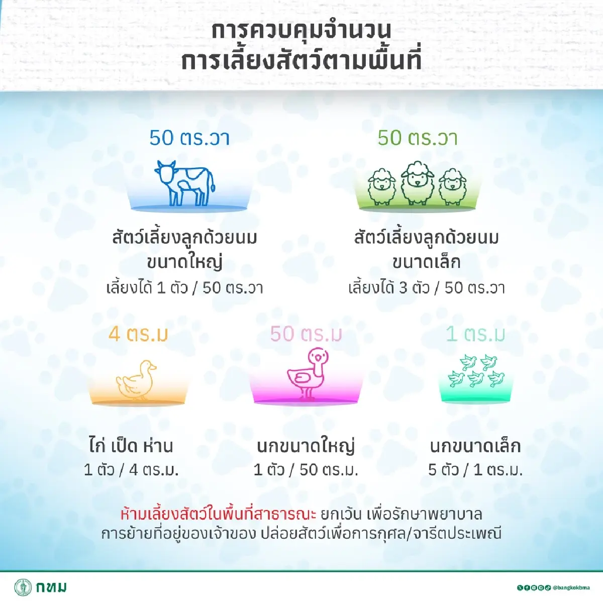 กฎใหม่กทม. เลี้ยงสัตว์ หมาแมวกี่ตัว ต้องดูขนาดพื้นที่บ้าน คอนโด