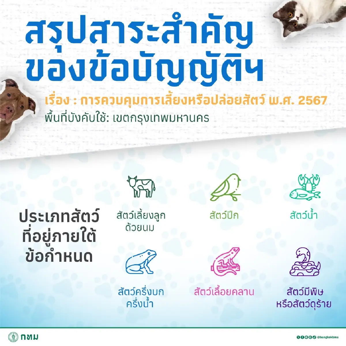 กฎใหม่กทม. เลี้ยงสัตว์ หมาแมวกี่ตัว ต้องดูขนาดพื้นที่บ้าน คอนโด
