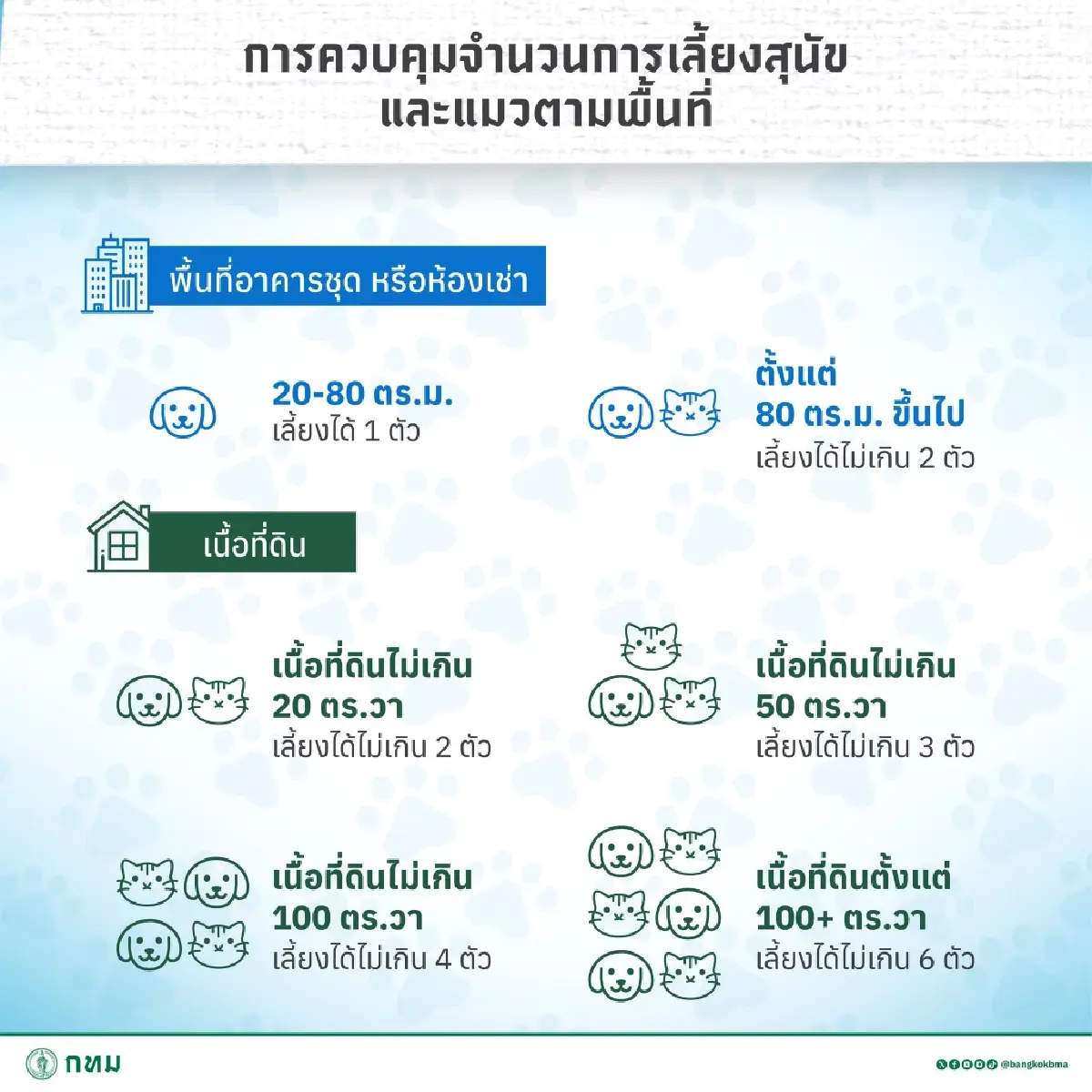 กฎใหม่กทม. เลี้ยงสัตว์ หมาแมวกี่ตัว ต้องดูขนาดพื้นที่บ้าน คอนโด