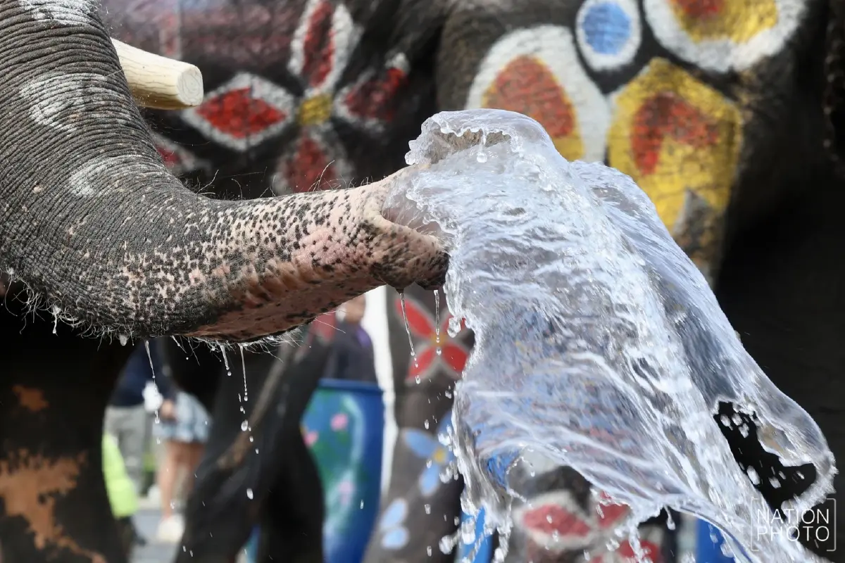 ไฮไลต์สงกรานต์กรุงเก่า ช้างแต่งสวยเล่นน้ำ ดึงดูดนักท่องเที่ยว