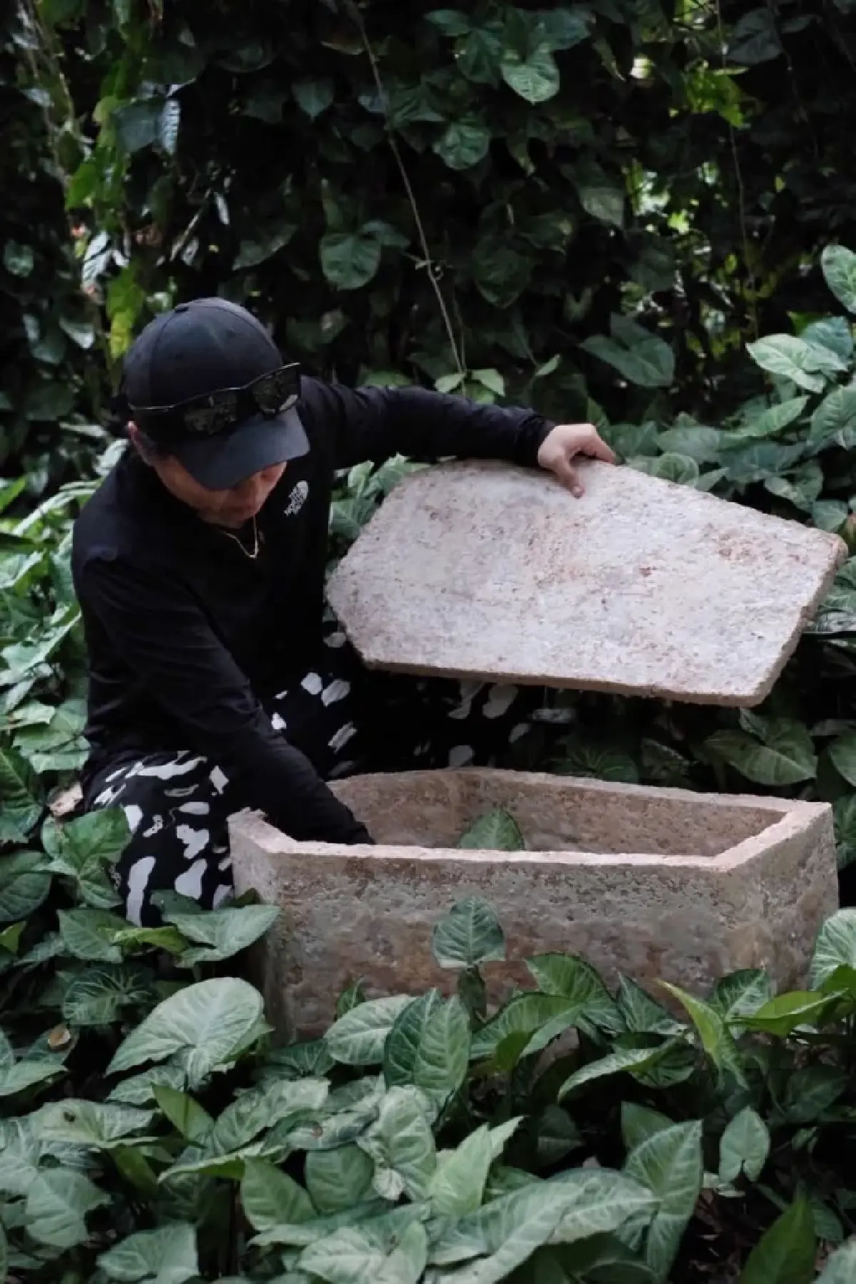 ความตายมุมคุณหญิงจำนงศรี และโลงจากเห็ดสำหรับสัตว์เลี้ยง 
