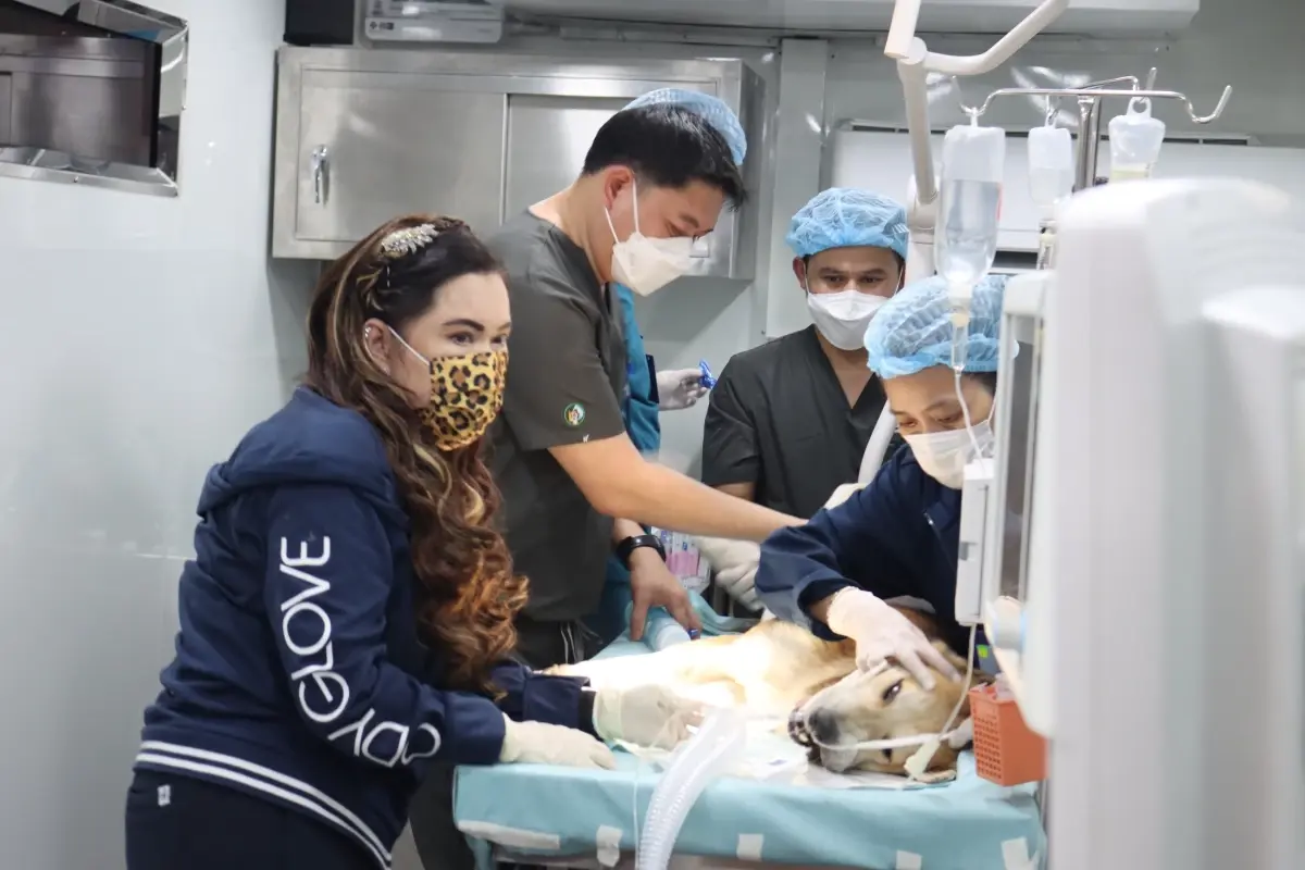 พระปณิธานเพื่อปวงประชาและสรรพสัตว์ สู่การกำจัดโรคพิษสุนัขบ้าที่ยั่งยืน