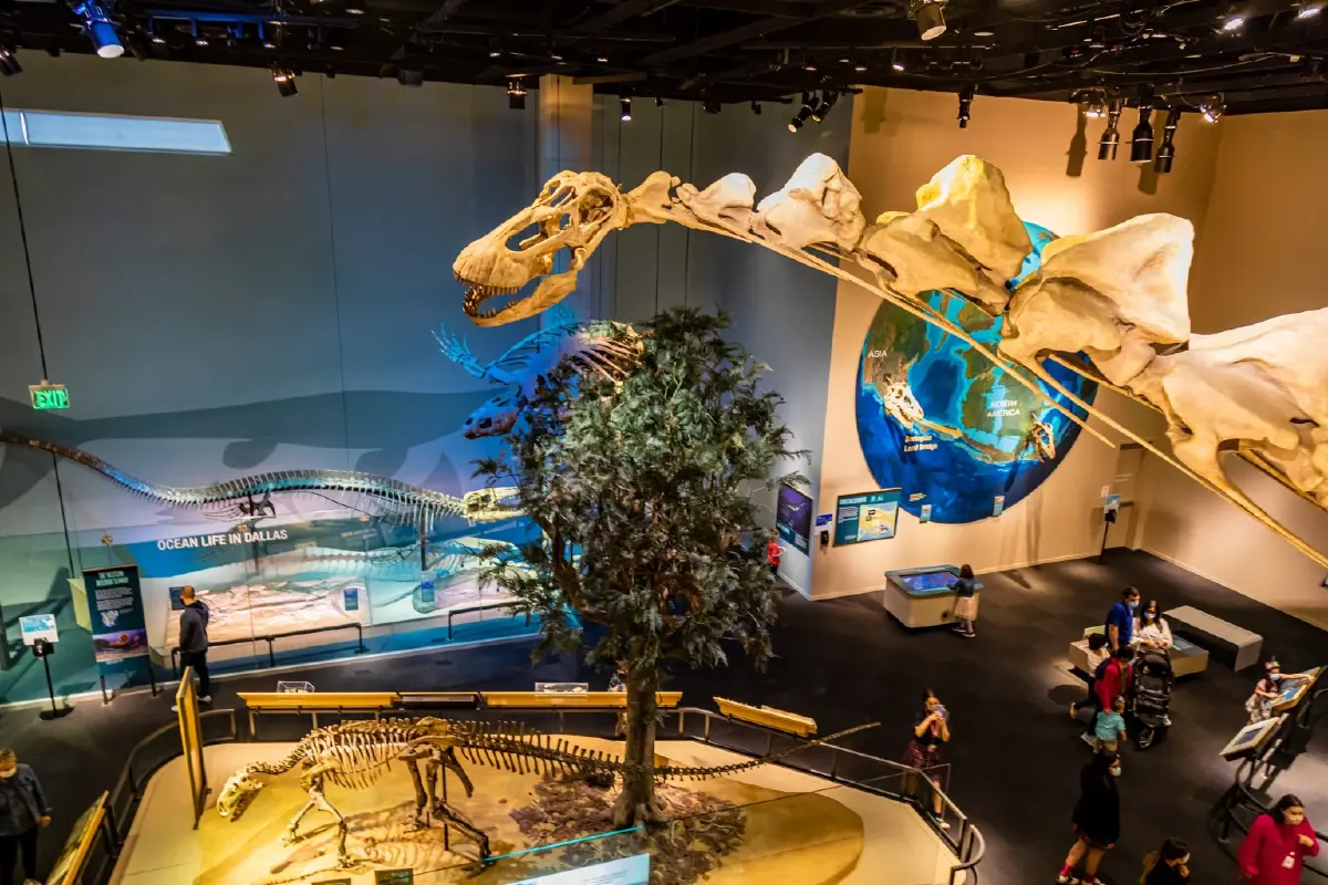 EVA Air เปิดตัวเที่ยวบินตรง ไทเป-ดาลัส เริ่มให้บริการ 3 ต.ค. 68 นี้