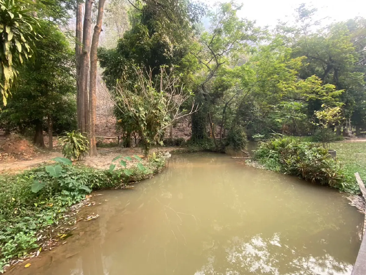 ธรณีพิโรธ น้ำเปลี่ยนสี น้ำพุร้อนหาย แผ่นดินไหวสะเทือนแม่ฮ่องสอน