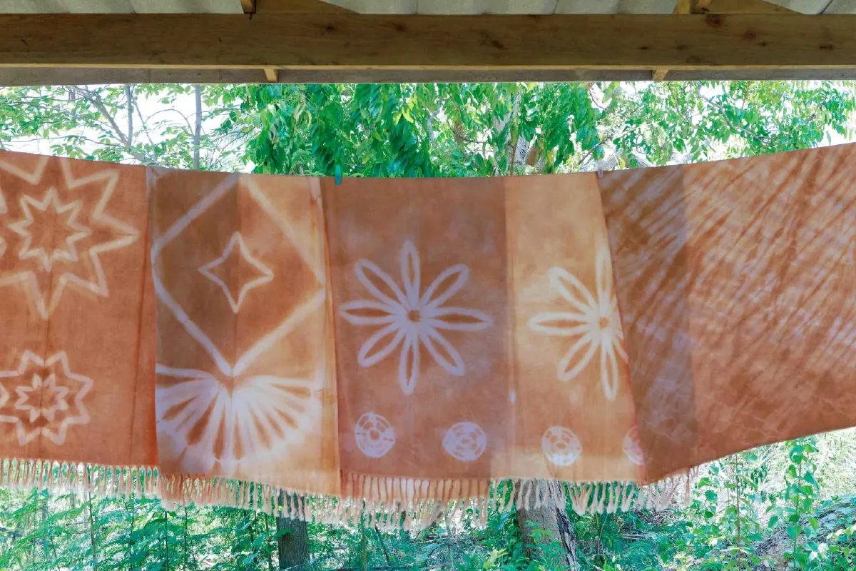 เที่ยว 'ป่ากุยบุรี' หน้าร้อน สุขที่ได้เฝ้าคอย ‘ช้างป่ากุยบุรี’