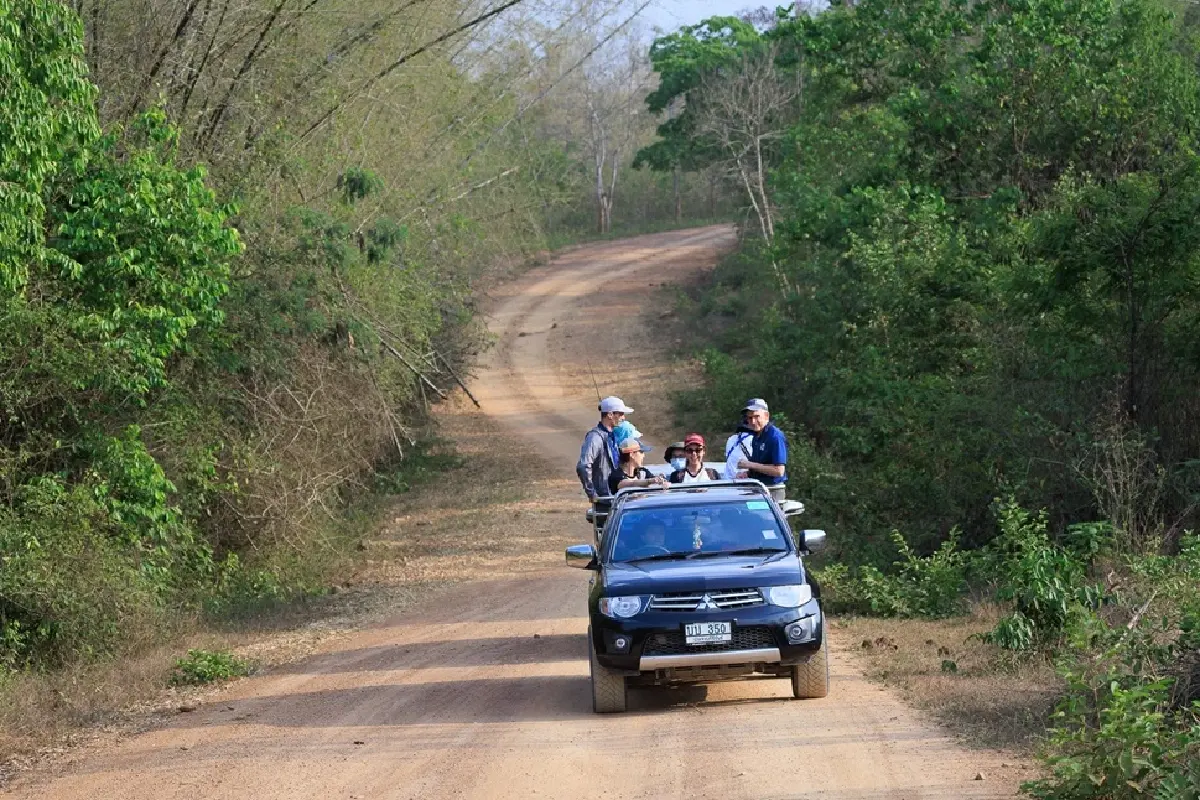 เที่ยว 'ป่ากุยบุรี' หน้าร้อน สุขที่ได้เฝ้าคอย ‘ช้างป่ากุยบุรี’