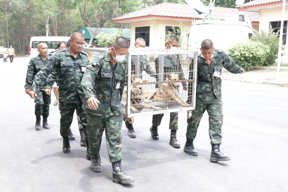 พระปณิธานเพื่อปวงประชาและสรรพสัตว์ สู่การกำจัดโรคพิษสุนัขบ้าที่ยั่งยืน