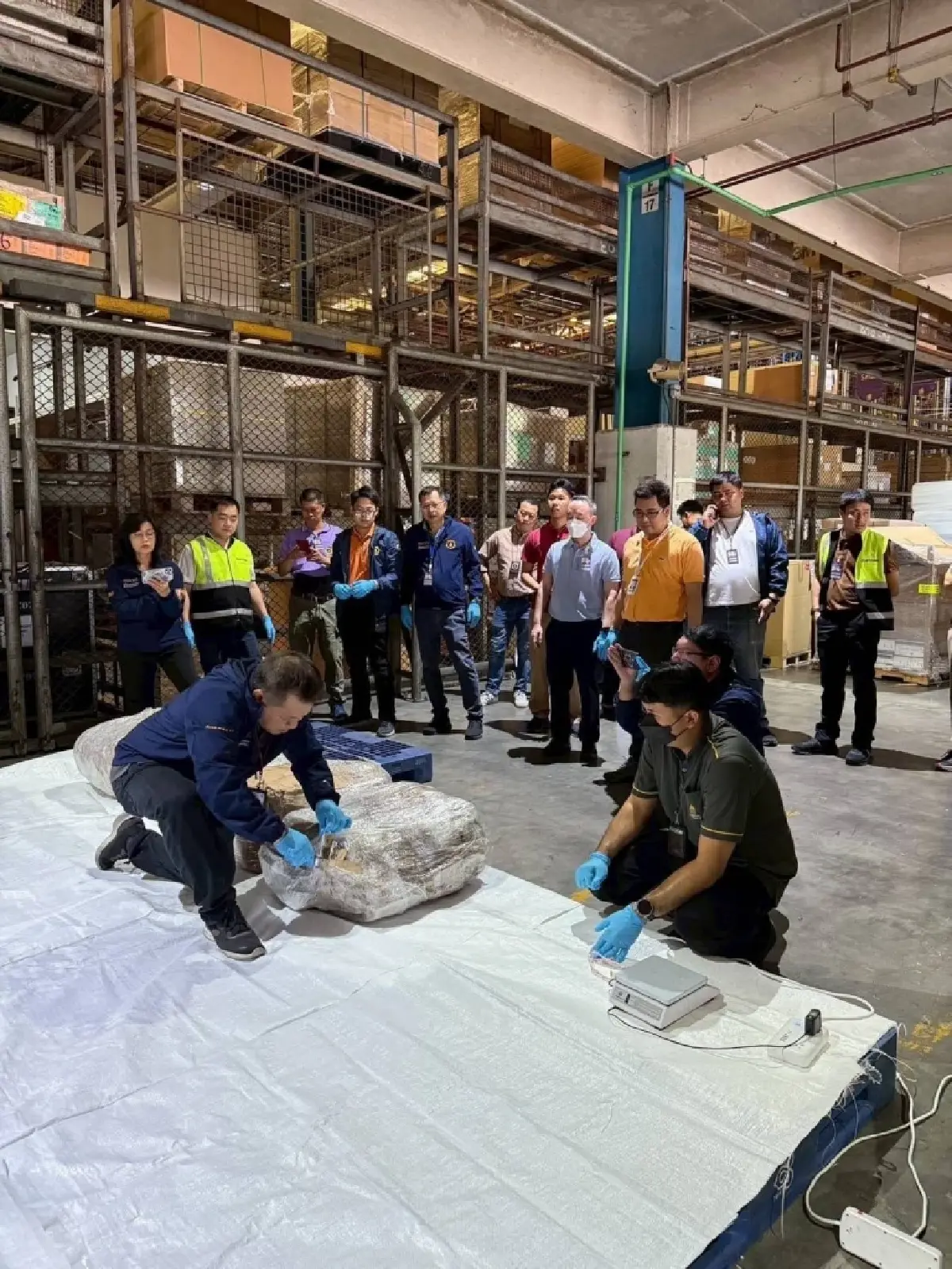 ศุลกากร ตรวจยึด "ครีบปลาฉลาม" ลอบเข้าไทย 402 ชิ้น มูลค่ากว่า 2 ล้าน