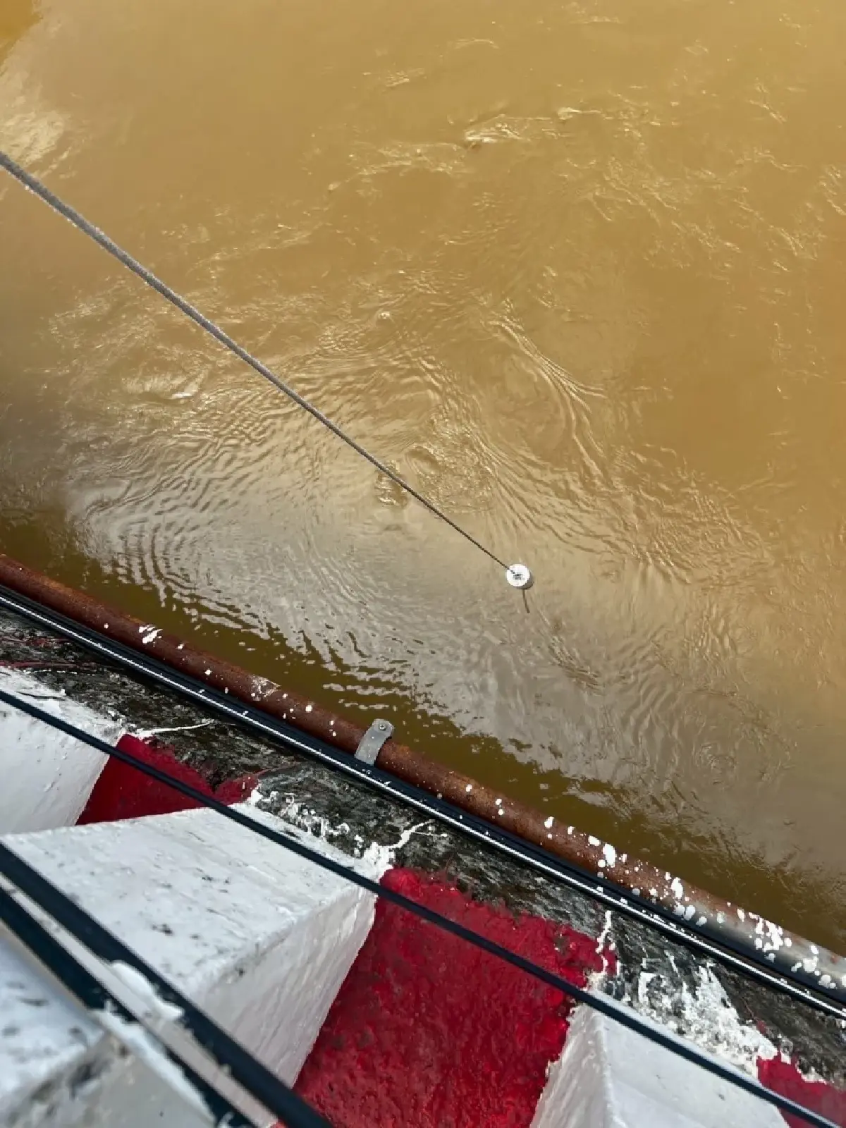 วิกฤตแม่น้ำกก 'สารหนู-ตะกั่ว'เกินมาตรฐาน งดกินปลาน้ำจืดเสี่ยง