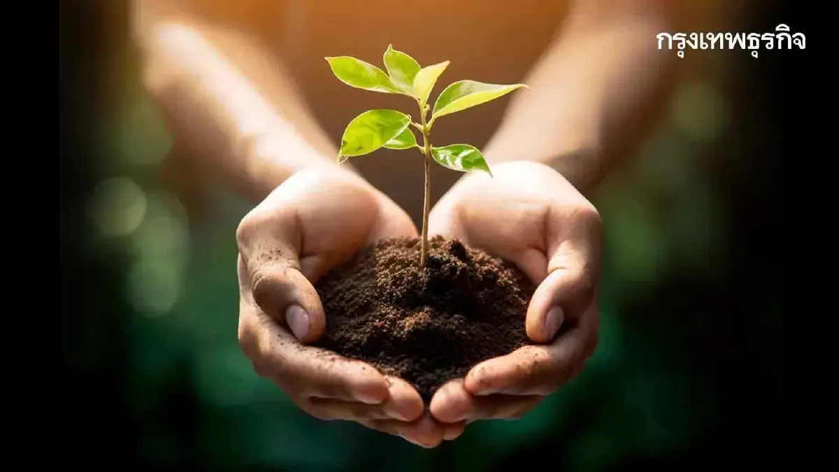 พิกัดแจกกล้าไม้ ต้นไม้ฟรี กทม. - ทั่วไทย พันธุ์ไม้ดอก ไม้ผล รับได้