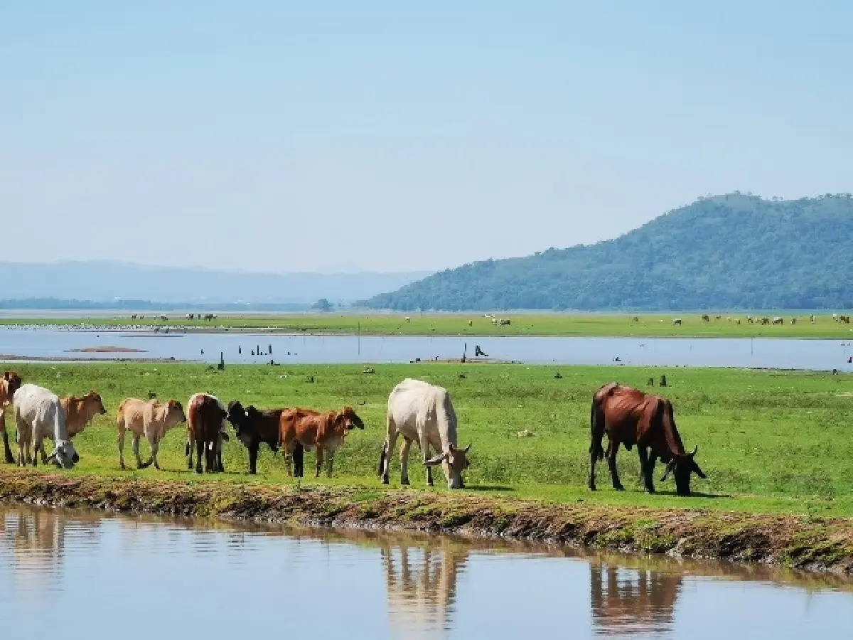 ‘ท่องเที่ยวฤดูฝน’ สัมผัสวิถีริมน้ำ ใต้ราง..ทางรถไฟลอยฟ้า