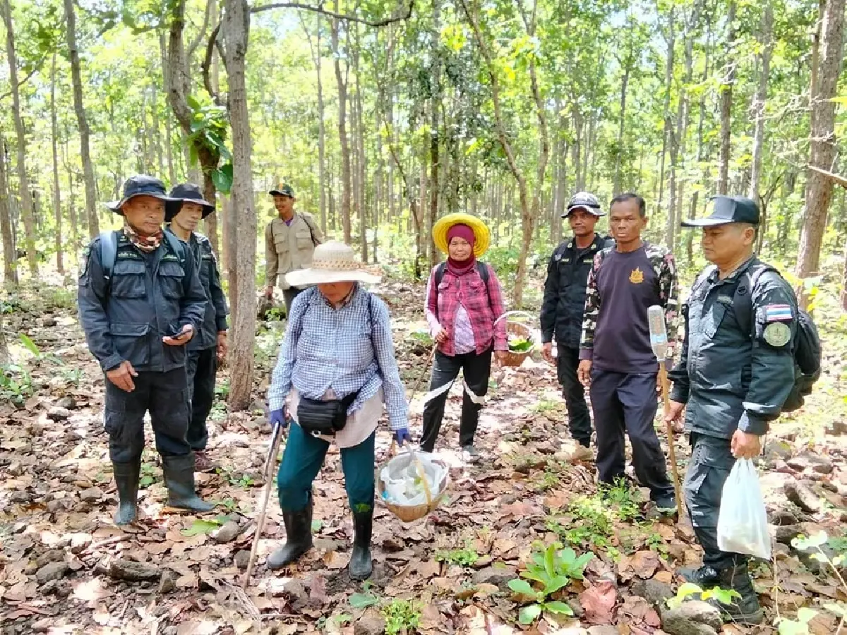 ไขปริศนาเสียงคล้ายน้ำเดือดใต้ดิน 'ภูเขาไฟกระโดง' รู้สาเหตุแล้ว