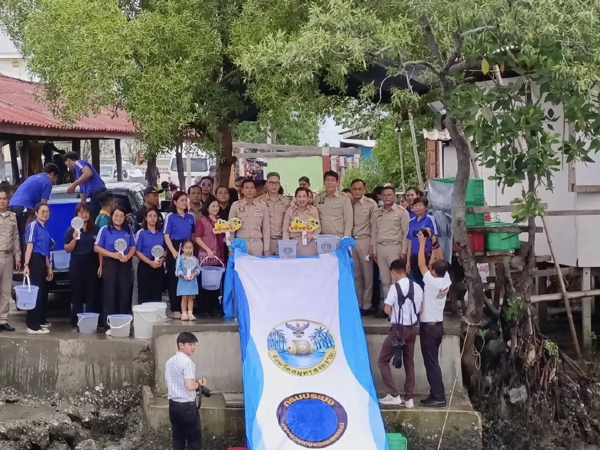 ประมงสมุทรสงคราม รุกจับปลาหมอคางดำ ปูพรมลงแขกทุกเดือน
